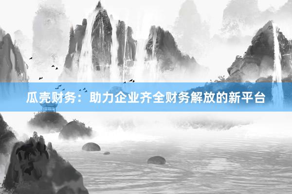 瓜壳财务：助力企业齐全财务解放的新平台